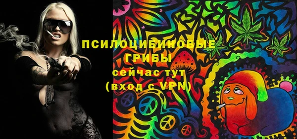 гидра Балахна