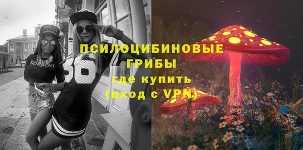 гидра Балахна